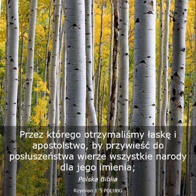 Picture 03 - Rzymian 1:5 POLUBG - Przez którego otrzymaliśmy łaskę i - Bible Verse Picture