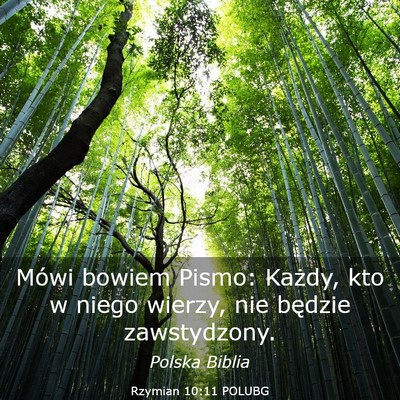 Picture 03 - Rzymian 10:11 POLUBG - Mówi bowiem Pismo: Każdy, kto w niego wierzy, - Bible Verse Picture