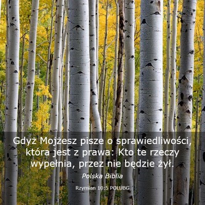 Picture 03 - Rzymian 10:5 POLUBG - Gdyż Mojżesz pisze o sprawiedliwości, która - Bible Verse Picture