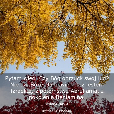 Picture 03 - Rzymian 11:1 POLUBG - Pytam więc: Czy Bóg odrzucił swój lud? Nie - Bible Verse Picture