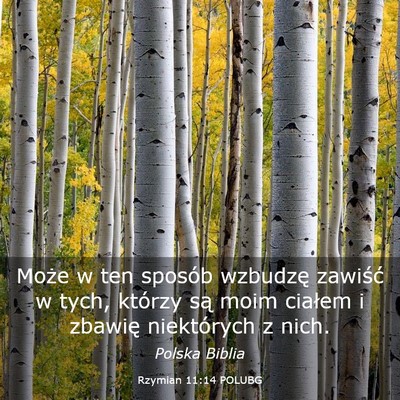 Picture 03 - Rzymian 11:14 POLUBG - Może w ten sposób wzbudzę zawiść w tych, - Bible Verse Picture