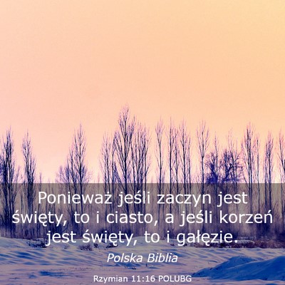 Picture 03 - Rzymian 11:16 POLUBG - Ponieważ jeśli zaczyn jest święty, to i - Bible Verse Picture
