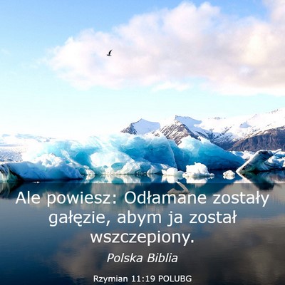 Picture 03 - Rzymian 11:19 POLUBG - Ale powiesz: Odłamane zostały gałęzie, abym - Bible Verse Picture