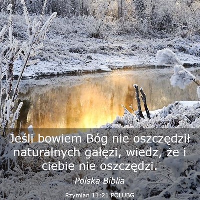 Picture 03 - Rzymian 11:21 POLUBG - Jeśli bowiem Bóg nie oszczędził naturalnych - Bible Verse Picture