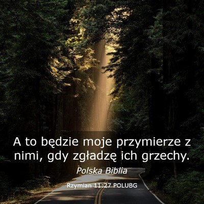 Picture 03 - Rzymian 11:27 POLUBG - A to będzie moje przymierze z nimi, gdy - Bible Verse Picture