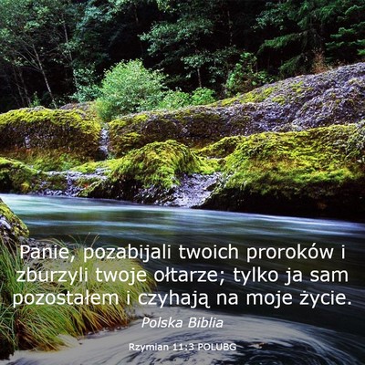 Picture 03 - Rzymian 11:3 POLUBG - Panie, pozabijali twoich proroków i zburzyli - Bible Verse Picture
