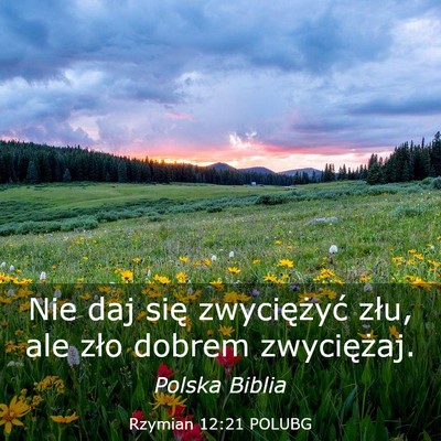 Picture 03 - Rzymian 12:21 POLUBG - Nie daj się zwyciężyć złu, ale zło dobrem - Bible Verse Picture