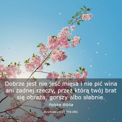 Picture 03 - Rzymian 14:21 POLUBG - Dobrze jest nie jeść mięsa i nie pić wina ani - Bible Verse Picture