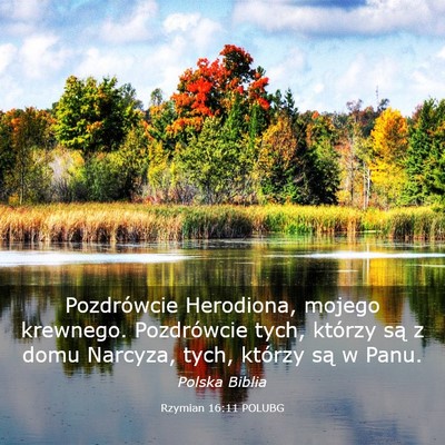 Picture 03 - Rzymian 16:11 POLUBG - Pozdrówcie Herodiona, mojego krewnego. - Bible Verse Picture