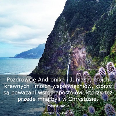 Picture 03 - Rzymian 16:7 POLUBG - Pozdrówcie Andronika i Juniasa, moich krewnych i - Bible Verse Picture