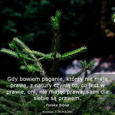 Picture 03 - Rzymian 2:14 POLUBG - Gdy bowiem poganie, którzy nie mają prawa, z - Bible Verse Picture
