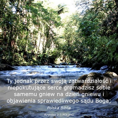 Picture 03 - Rzymian 2:5 POLUBG - Ty jednak przez swoją zatwardziałość i - Bible Verse Picture