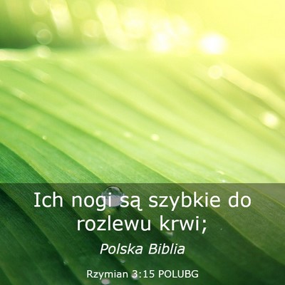 Picture 03 - Rzymian 3:15 POLUBG - Ich nogi są szybkie do rozlewu - Bible Verse Picture