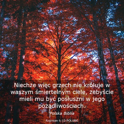 Picture 03 - Rzymian 6:12 POLUBG - Niechże więc grzech nie króluje w waszym - Bible Verse Picture