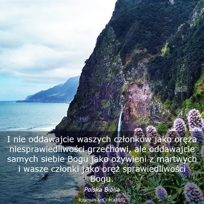 Picture 03 - Rzymian 6:13 POLUBG - I nie oddawajcie waszych członków jako oręża - Bible Verse Picture