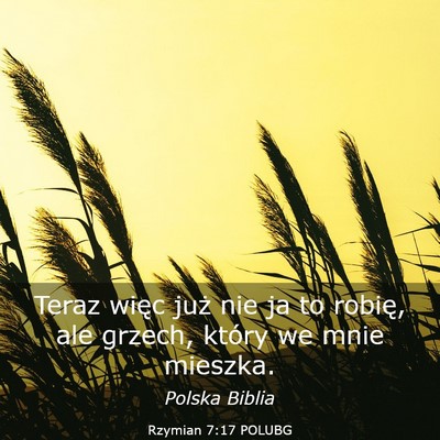 Picture 03 - Rzymian 7:17 POLUBG - Teraz więc już nie ja to robię, ale grzech, - Bible Verse Picture