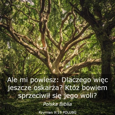 Picture 03 - Rzymian 9:19 POLUBG - Ale mi powiesz: Dlaczego więc jeszcze oskarża? - Bible Verse Picture