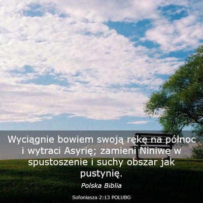 Picture 03 - Sofoniasza 2:13 POLUBG - Wyciągnie bowiem swoją rękę na północ i - Bible Verse Picture