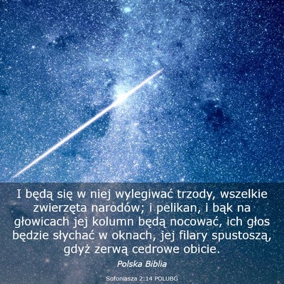 Picture 03 - Sofoniasza 2:14 POLUBG - I będą się w niej wylegiwać trzody, wszelkie - Bible Verse Picture