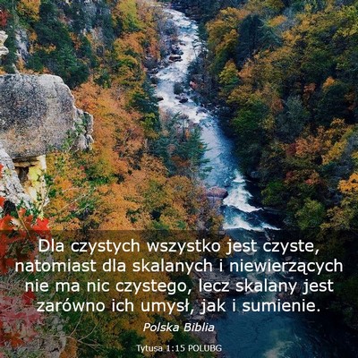 Picture 03 - Tytusa 1:15 POLUBG - Dla czystych wszystko jest czyste, natomiast dla - Bible Verse Picture