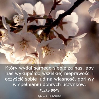 Picture 03 - Tytusa 2:14 POLUBG - Który wydał samego siebie za nas, aby nas - Bible Verse Picture