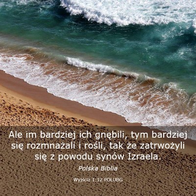 Picture 03 - Wyjścia 1:12 POLUBG - Ale im bardziej ich gnębili, tym bardziej się - Bible Verse Picture