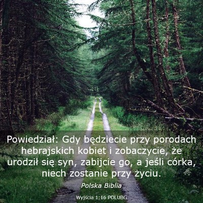 Picture 03 - Wyjścia 1:16 POLUBG - Powiedział: Gdy będziecie przy porodach - Bible Verse Picture