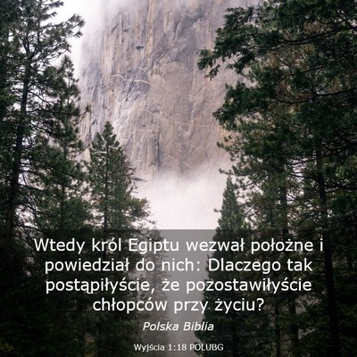 Picture 03 - Wyjścia 1:18 POLUBG - Wtedy król Egiptu wezwał położne i - Bible Verse Picture