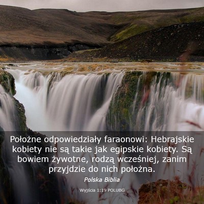 Picture 03 - Wyjścia 1:19 POLUBG - Położne odpowiedziały faraonowi: Hebrajskie - Bible Verse Picture