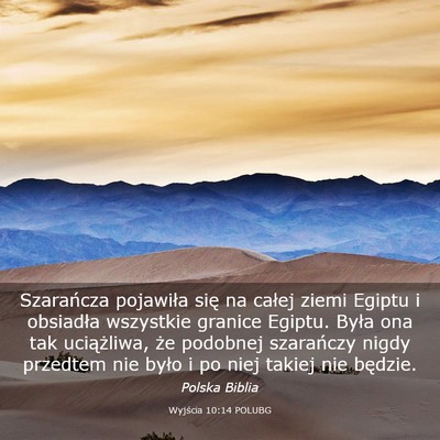 Picture 03 - Wyjścia 10:14 POLUBG - Szarańcza pojawiła się na całej ziemi Egiptu - Bible Verse Picture