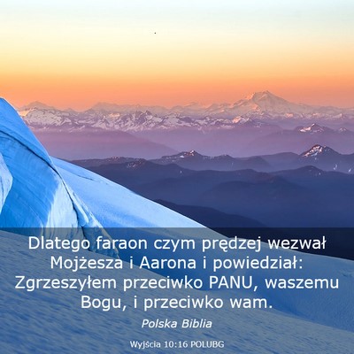 Picture 03 - Wyjścia 10:16 POLUBG - Dlatego faraon czym prędzej wezwał Mojżesza i - Bible Verse Picture