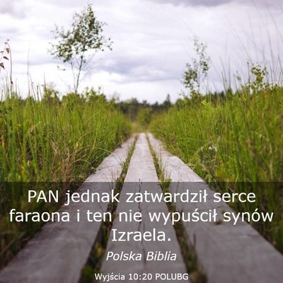 Picture 03 - Wyjścia 10:20 POLUBG - PAN jednak zatwardził serce faraona i ten nie - Bible Verse Picture