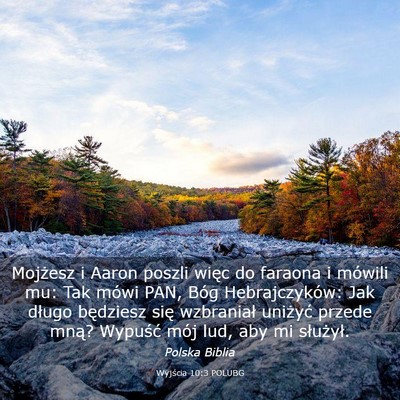 Picture 03 - Wyjścia 10:3 POLUBG - Mojżesz i Aaron poszli więc do faraona i - Bible Verse Picture