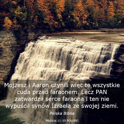 Picture 03 - Wyjścia 11:10 POLUBG - Mojżesz i Aaron czynili więc te wszystkie cuda - Bible Verse Picture