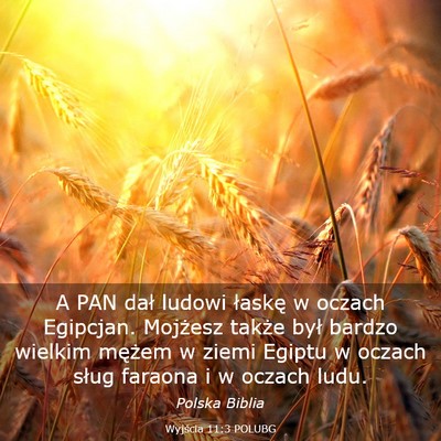 Picture 03 - Wyjścia 11:3 POLUBG - A PAN dał ludowi łaskę w oczach Egipcjan. - Bible Verse Picture