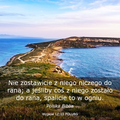 Picture 03 - Wyjścia 12:10 POLUBG - Nie zostawicie z niego niczego do rana; a - Bible Verse Picture