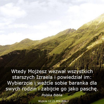 Picture 03 - Wyjścia 12:21 POLUBG - Wtedy Mojżesz wezwał wszystkich starszych - Bible Verse Picture