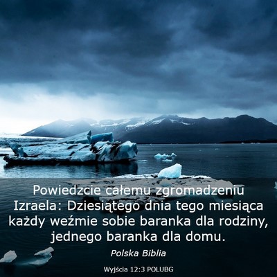 Picture 03 - Wyjścia 12:3 POLUBG - Powiedzcie całemu zgromadzeniu Izraela: - Bible Verse Picture