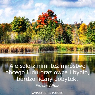 Picture 03 - Wyjścia 12:38 POLUBG - Ale szło z nimi też mnóstwo obcego ludu oraz - Bible Verse Picture