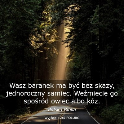 Picture 03 - Wyjścia 12:5 POLUBG - Wasz baranek ma być bez skazy, jednoroczny - Bible Verse Picture