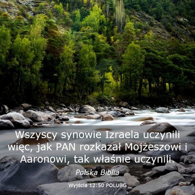 Picture 03 - Wyjścia 12:50 POLUBG - Wszyscy synowie Izraela uczynili więc, jak PAN - Bible Verse Picture