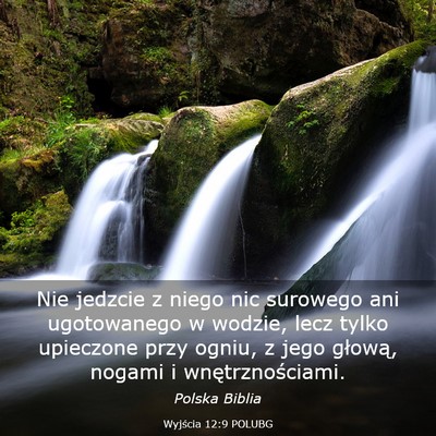 Picture 03 - Wyjścia 12:9 POLUBG - Nie jedzcie z niego nic surowego ani ugotowanego - Bible Verse Picture