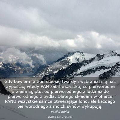 Picture 03 - Wyjścia 13:15 POLUBG - Gdy bowiem faraon stał się twardy i wzbraniał - Bible Verse Picture