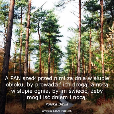 Picture 03 - Wyjścia 13:21 POLUBG - A PAN szedł przed nimi za dnia w słupie - Bible Verse Picture