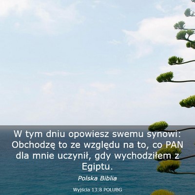 Picture 03 - Wyjścia 13:8 POLUBG - W tym dniu opowiesz swemu synowi: Obchodzę to ze - Bible Verse Picture