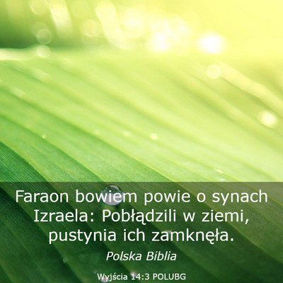 Picture 03 - Wyjścia 14:3 POLUBG - Faraon bowiem powie o synach Izraela: - Bible Verse Picture