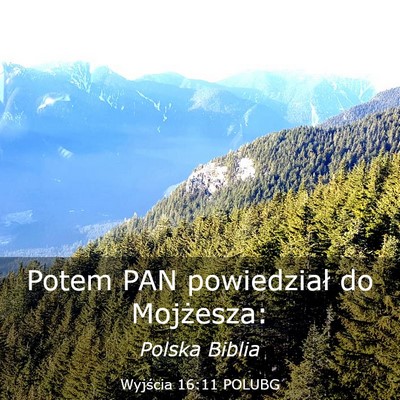 Picture 03 - Wyjścia 16:11 POLUBG - Potem PAN powiedział do - Bible Verse Picture