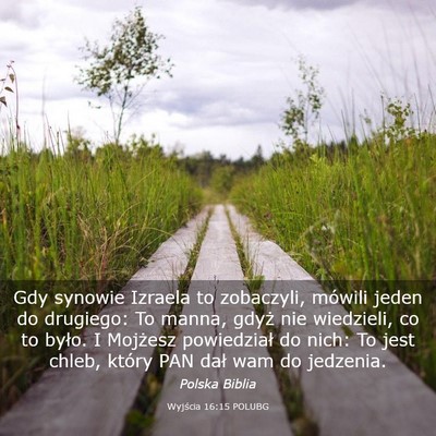 Picture 03 - Wyjścia 16:15 POLUBG - Gdy synowie Izraela to zobaczyli, mówili jeden - Bible Verse Picture