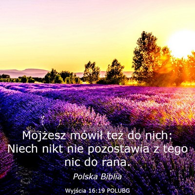 Picture 03 - Wyjścia 16:19 POLUBG - Mojżesz mówił też do nich: Niech nikt nie - Bible Verse Picture