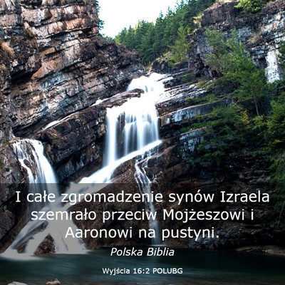 Picture 03 - Wyjścia 16:2 POLUBG - I całe zgromadzenie synów Izraela szemrało - Bible Verse Picture